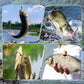 🎣Przyrząd do usuwania metalowych haczyków wędkarskich z przezroczystą rurką do przechowywania