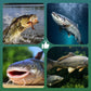 🐟 Mocny haczyk spinningowy o dużej wyporności – unosi się naturalnie i w kilka chwil łowi ryby!